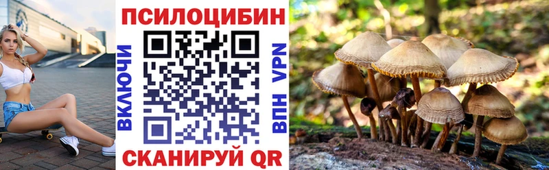 что такое наркотик  Ижевск  гидра как зайти  дарк нет телеграм  Псилоцибиновые грибы мухоморы 